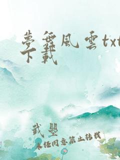 梦舞风云txt下载