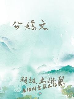 公媳文