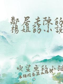 邻居老陈的老婆杨姐的小说阅读