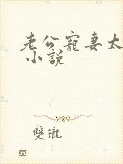 老公宠妻太甜蜜 小说