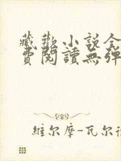 藏欢小说全文免费阅读无弹窗
