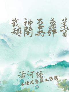 武神至尊叶风笔趣阁无弹窗