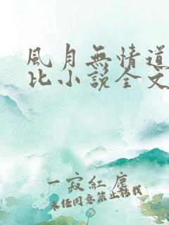 风月无情道比卡比小说全文免费阅读笔趣阁