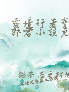 灵境行者卖报小郎君小说免费完本