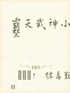 霸天武神小说完整