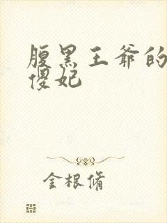 腹黑王爷的神医傻妃