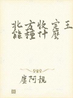 北方收完玉米还能种什么