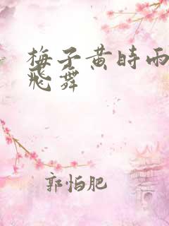 梅子黄时雨流光飞舞