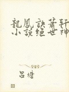 龙凤诀萧轩夏萍小说绝世神医免