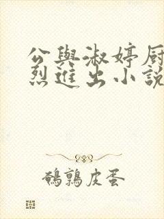 公与淑婷厨房猛烈进出小说