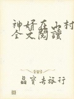 神婿在山村免费全文阅读