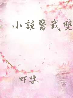 小说医武双绝