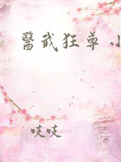 医武狂尊 小说