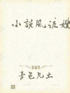 小说风流嫂子