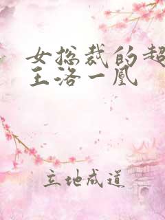女总裁的超级兵王洛一凰