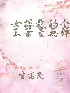 女总裁的全能兵王萧晨无弹窗