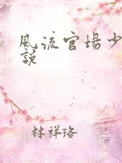 风流官场少妇小说