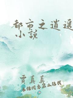 都市之逍遥医仙 小说