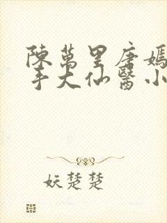 陈万里唐嫣然妙手大仙医小说