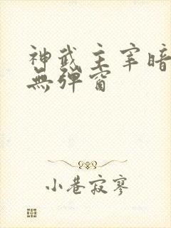 神武主宰暗魔师无弹窗