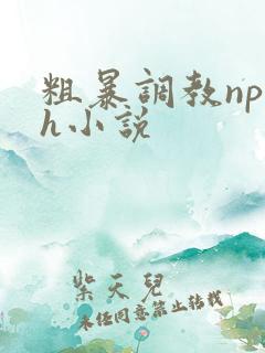 粗暴调教np高h小说