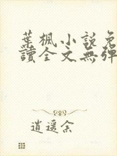叶枫小说免费阅读全文无弹窗最新