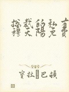 总裁的私有宝贝穆天阳免费
