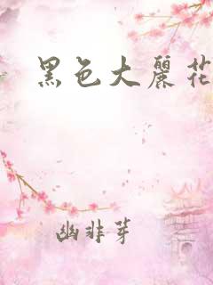 黑色大丽花图片