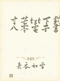 寸芒txt下载八零电子书
