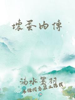 坏蛋内传