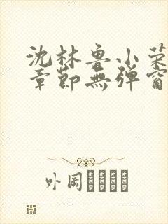 沈林鲁小荣最新章节无弹窗笔趣阁