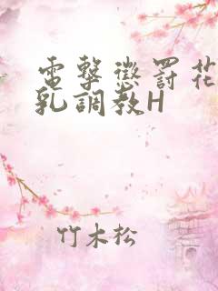 电击惩罚花蒂榨乳调教H