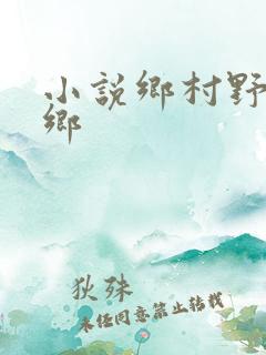 小说乡村野事老乡