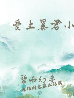 爱上暴君小甜心
