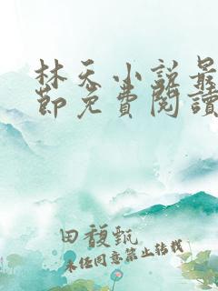 林天小说最新章节免费阅读全文