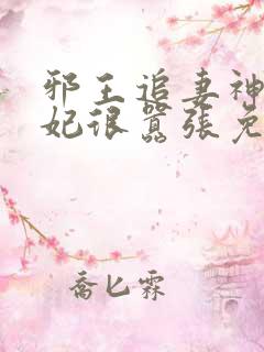 邪王追妻神医狂妃很嚣张免费阅读