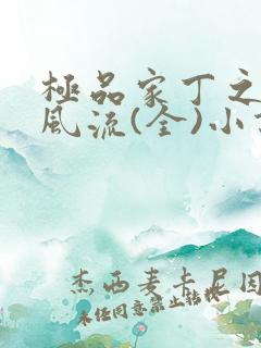 极品家丁之萧氏风流(全)小说