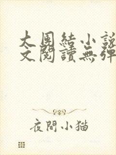 大团结小说集全文阅读无弹窗