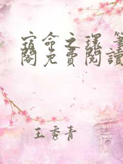 宿命之环 笔趣阁免费阅读无弹窗