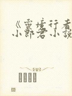 《灵境行者卖报小郎君小说》