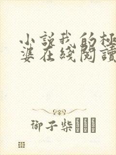 小说我的极品老婆在线阅读免费
