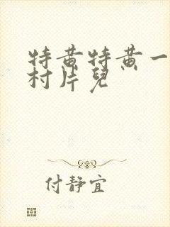 特黄特黄一级农村片儿
