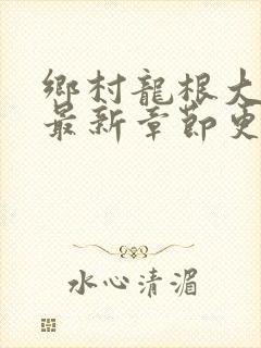 乡村龙根大凶器最新章节更新