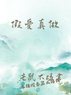 假爱真做