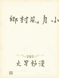 乡村风月小说