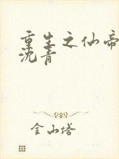 重生之仙帝归来沈青