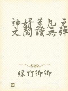 神婿叶凡免费全文阅读无弹窗