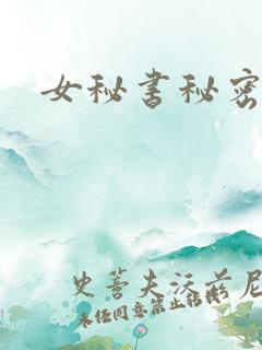 女秘书秘密情事