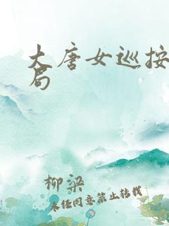 大唐女巡按大结局