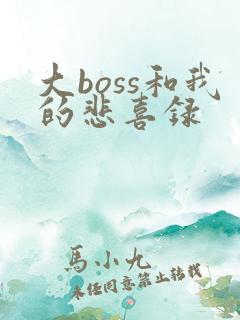 大boss和我的悲喜录